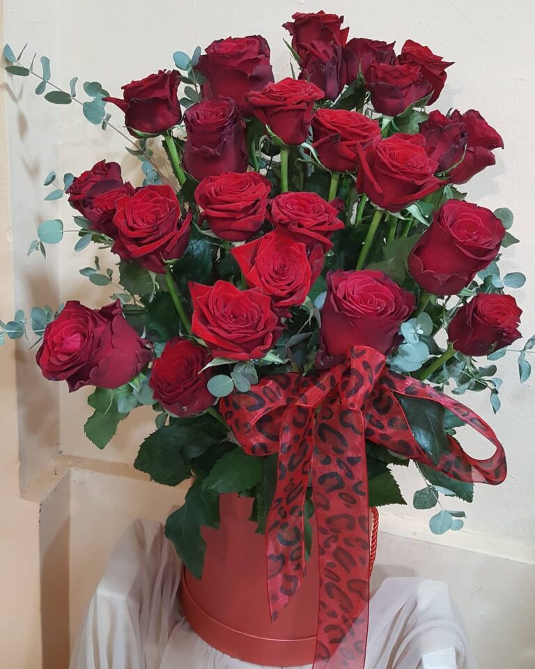 FB_IMG_1568186351681