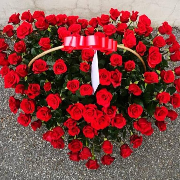 IMG_20210427_235248_706