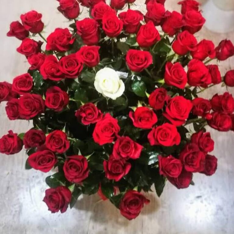 IMG_20210427_235248_741